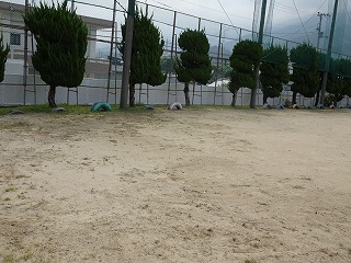 r070824(17)