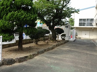 r070824(19)
