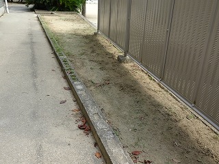 r070824(20)
