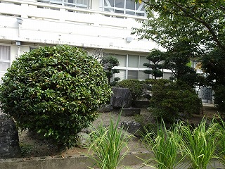 r070824(21)