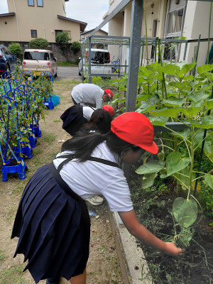 20260709_132149