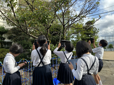 IMG-9659