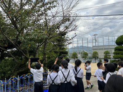 IMG-9662