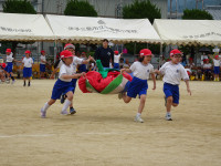 DSC05538