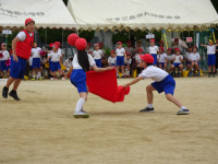 DSC05600