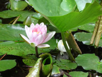 DSC05808