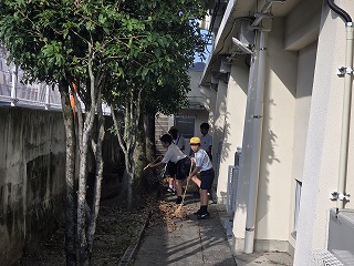 R070904 (1)